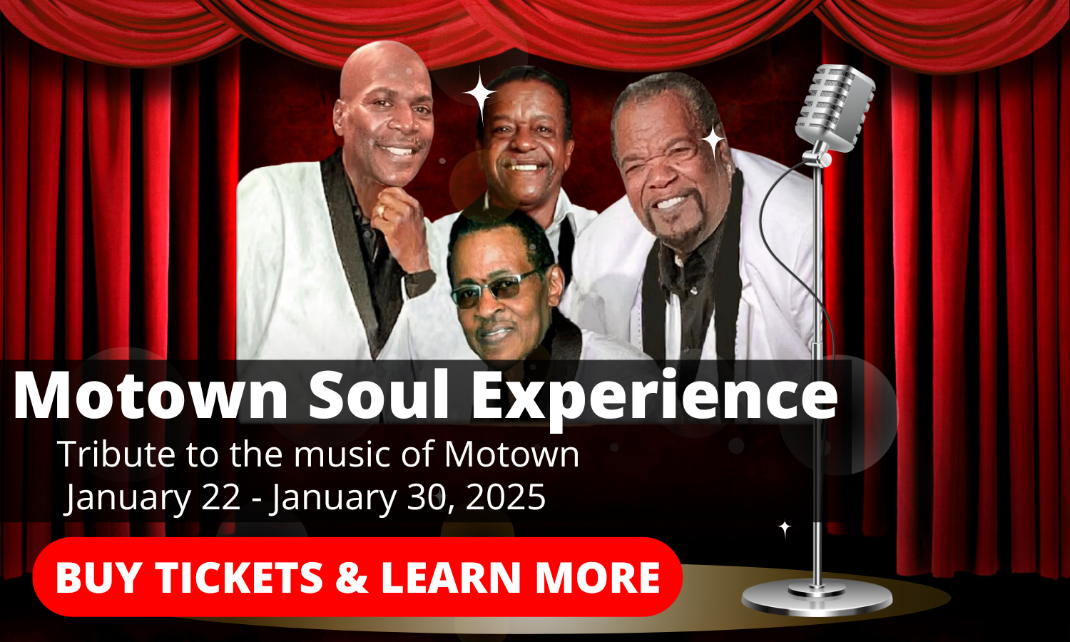 Motown Soul Experience Tribute