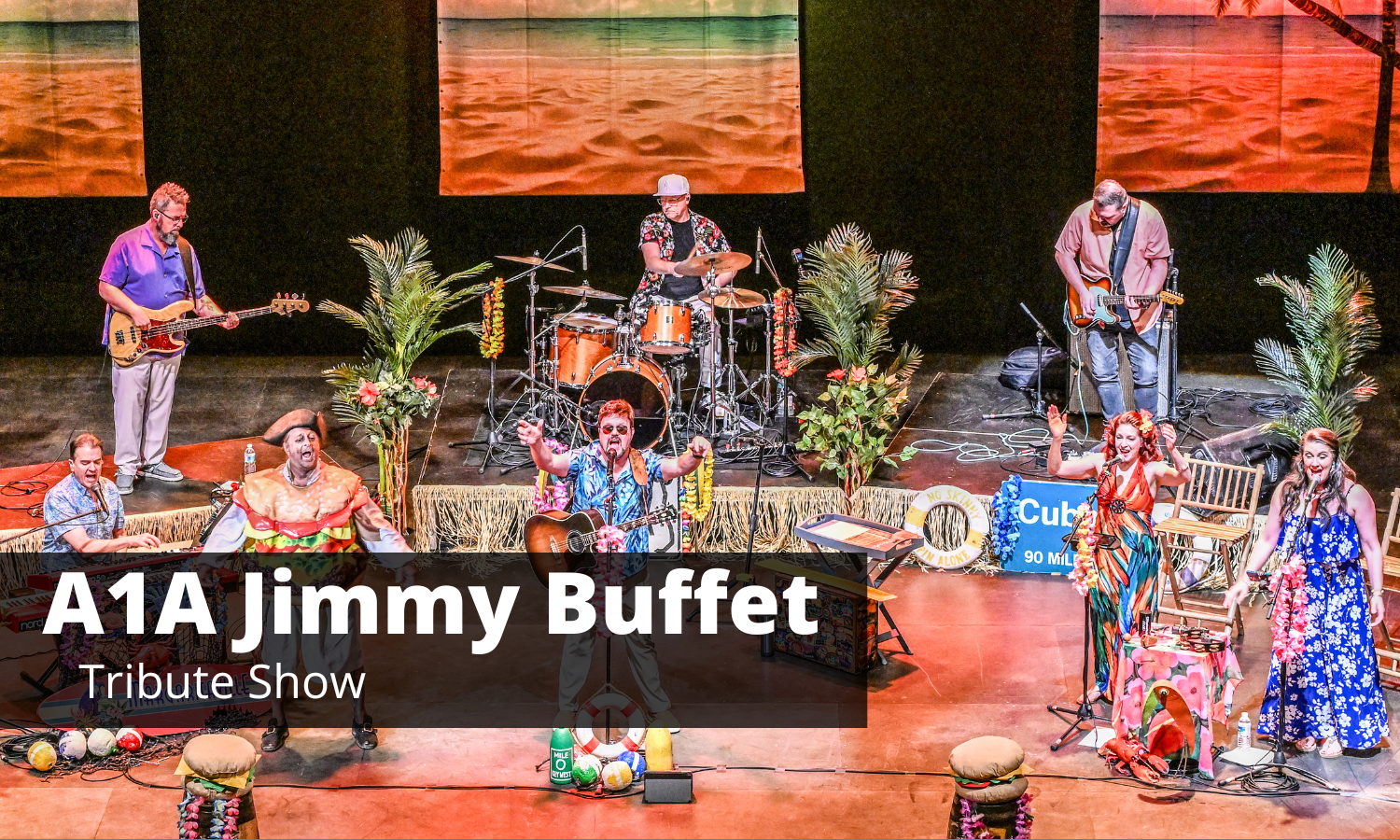 A1A Jimmy Buffet Website Icon