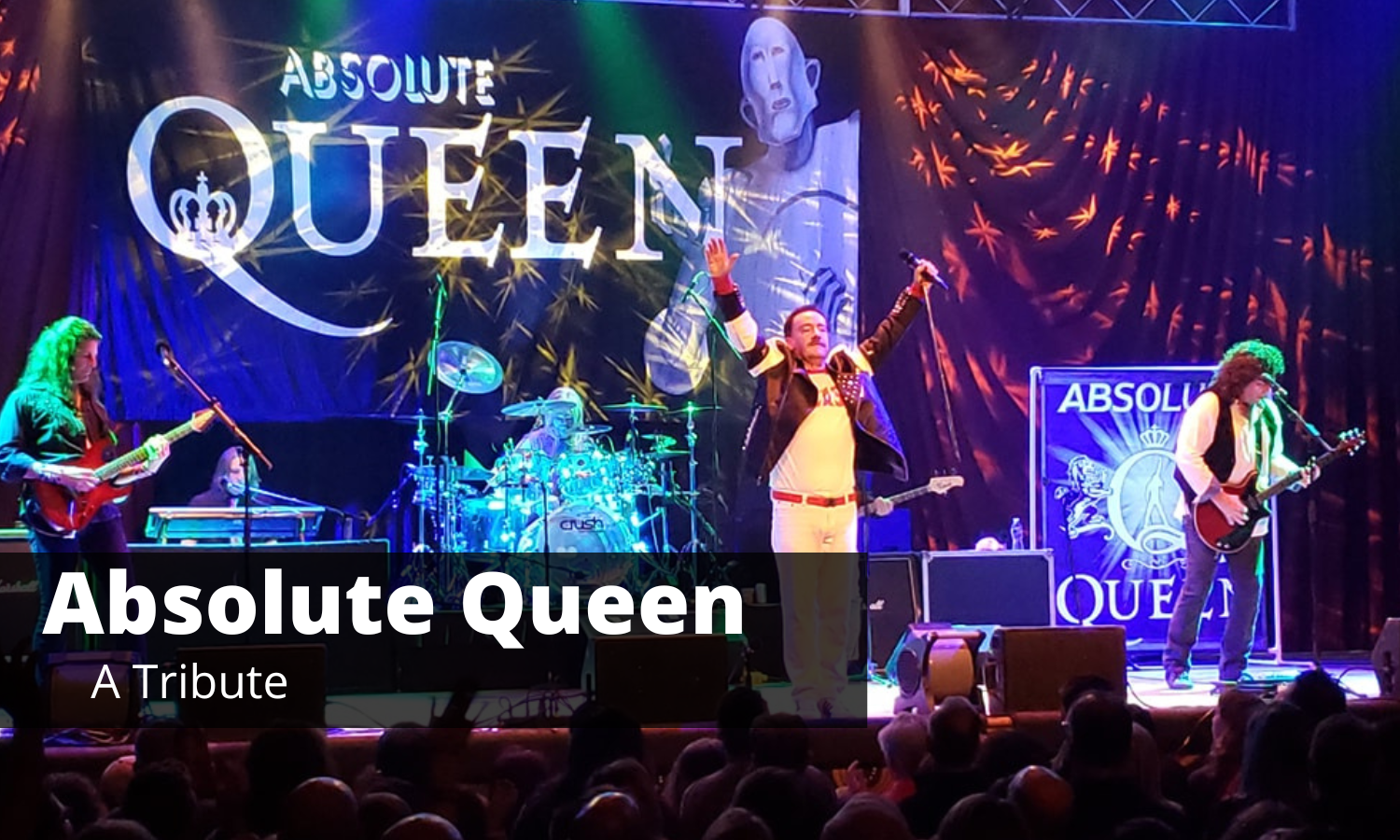 Absolute Queen Website Icon