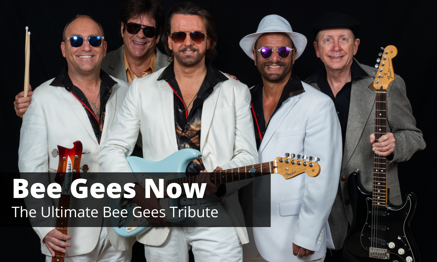 Bee Gees Now Icon