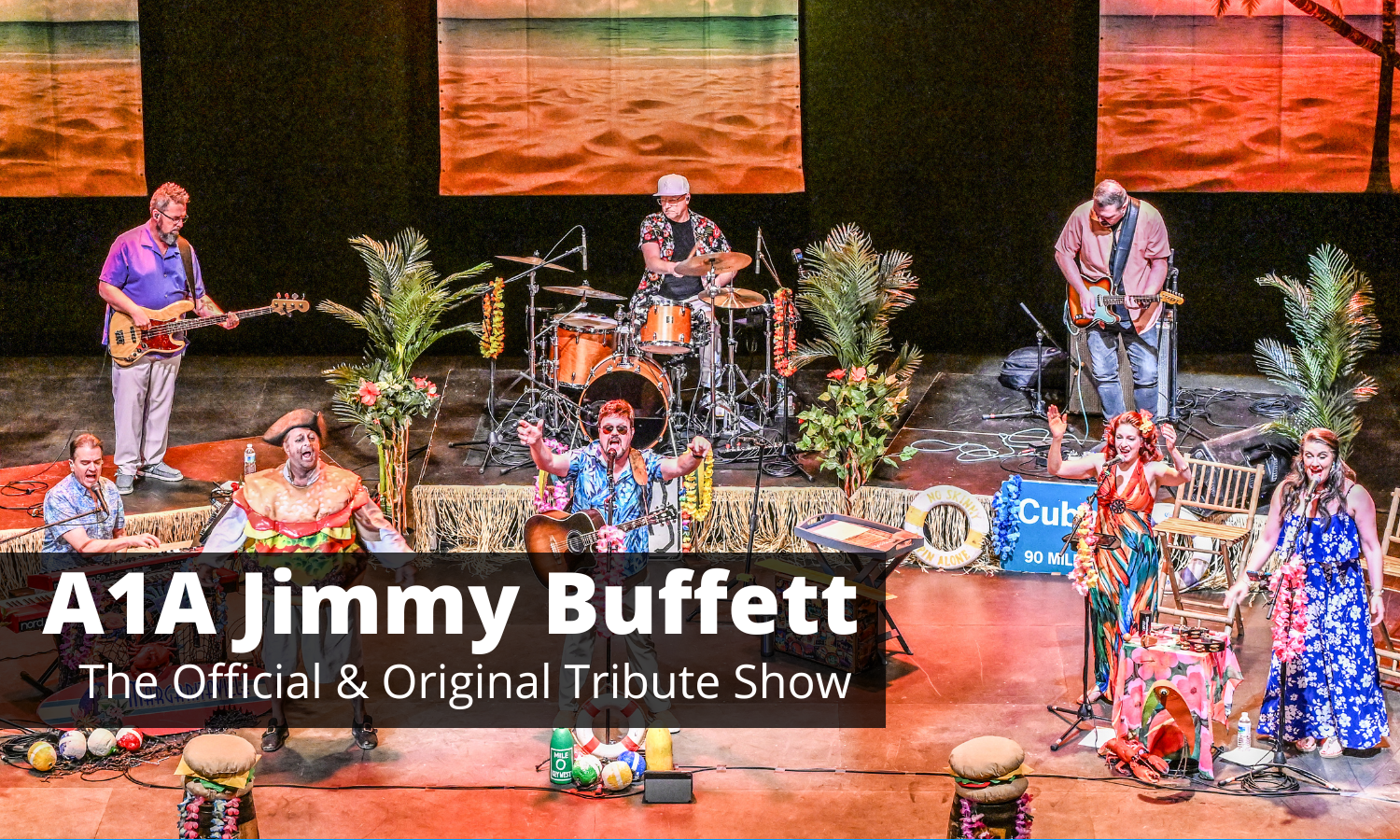 A1A Jimmy Buffet Website Icon