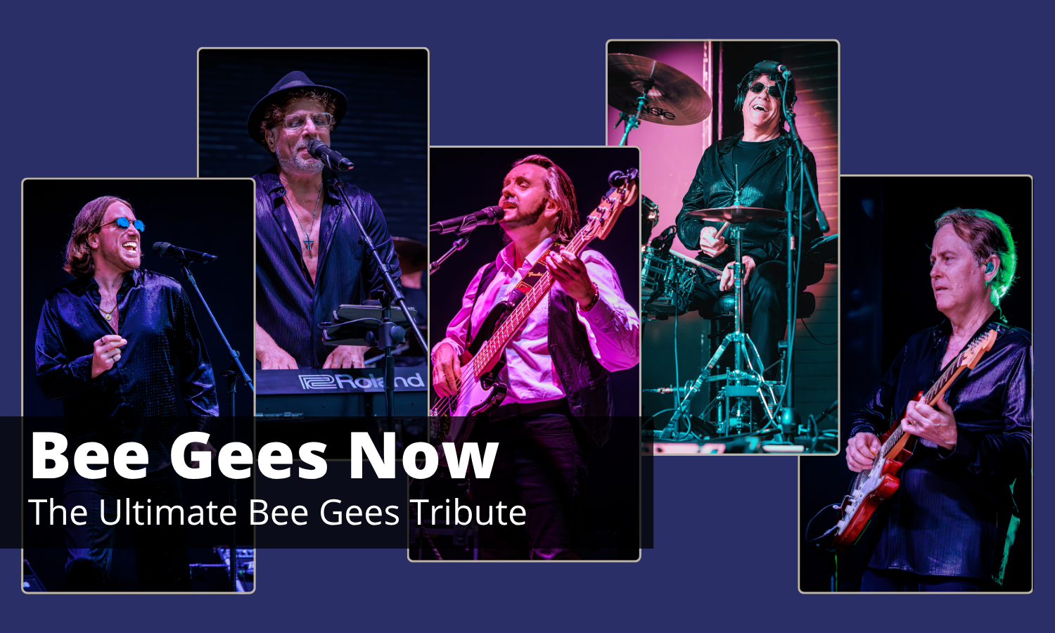 Bee Gees Now