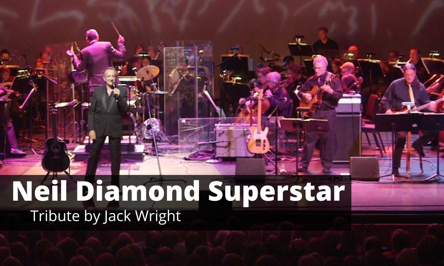 Neil Diamond Superstar Tribute