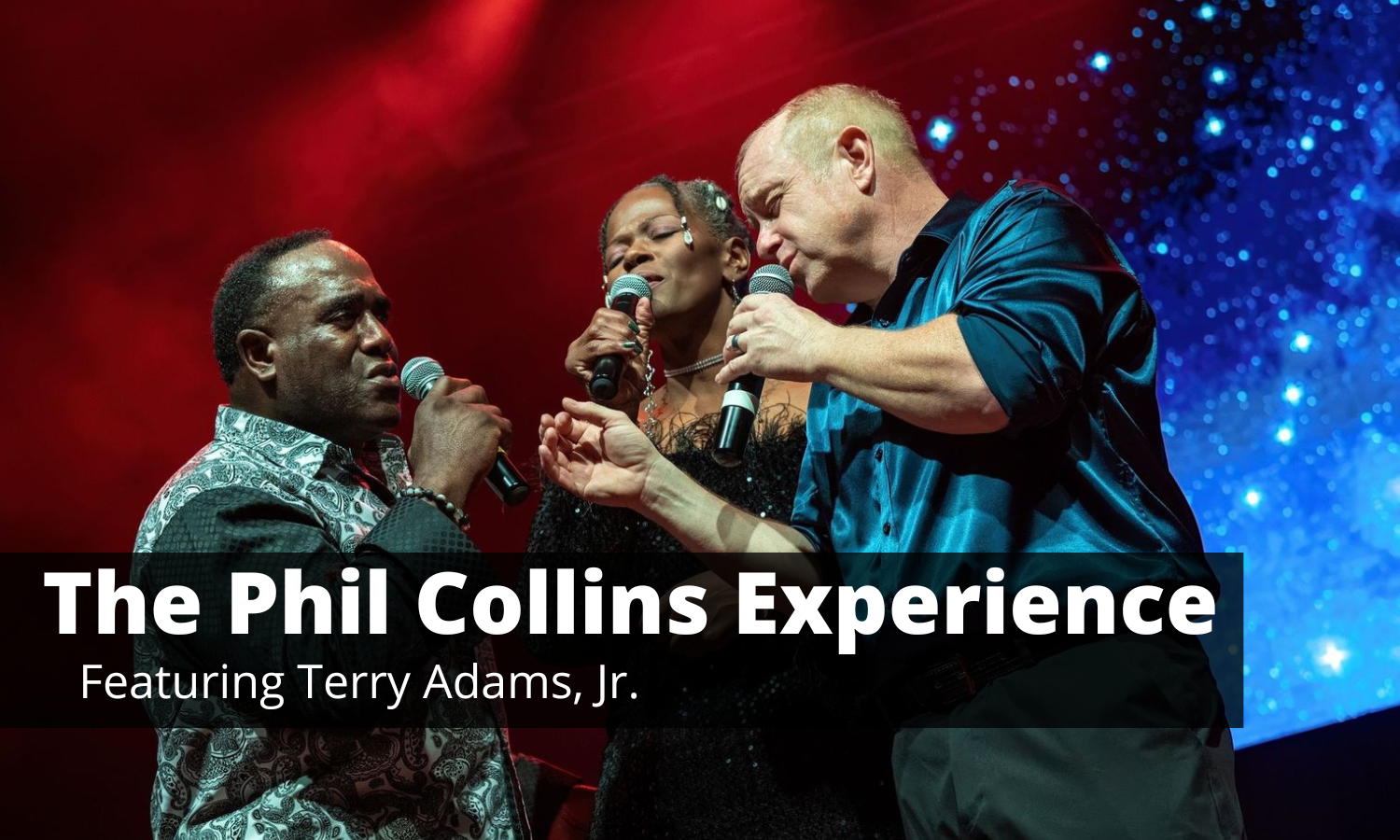 The Phil Collins Experience