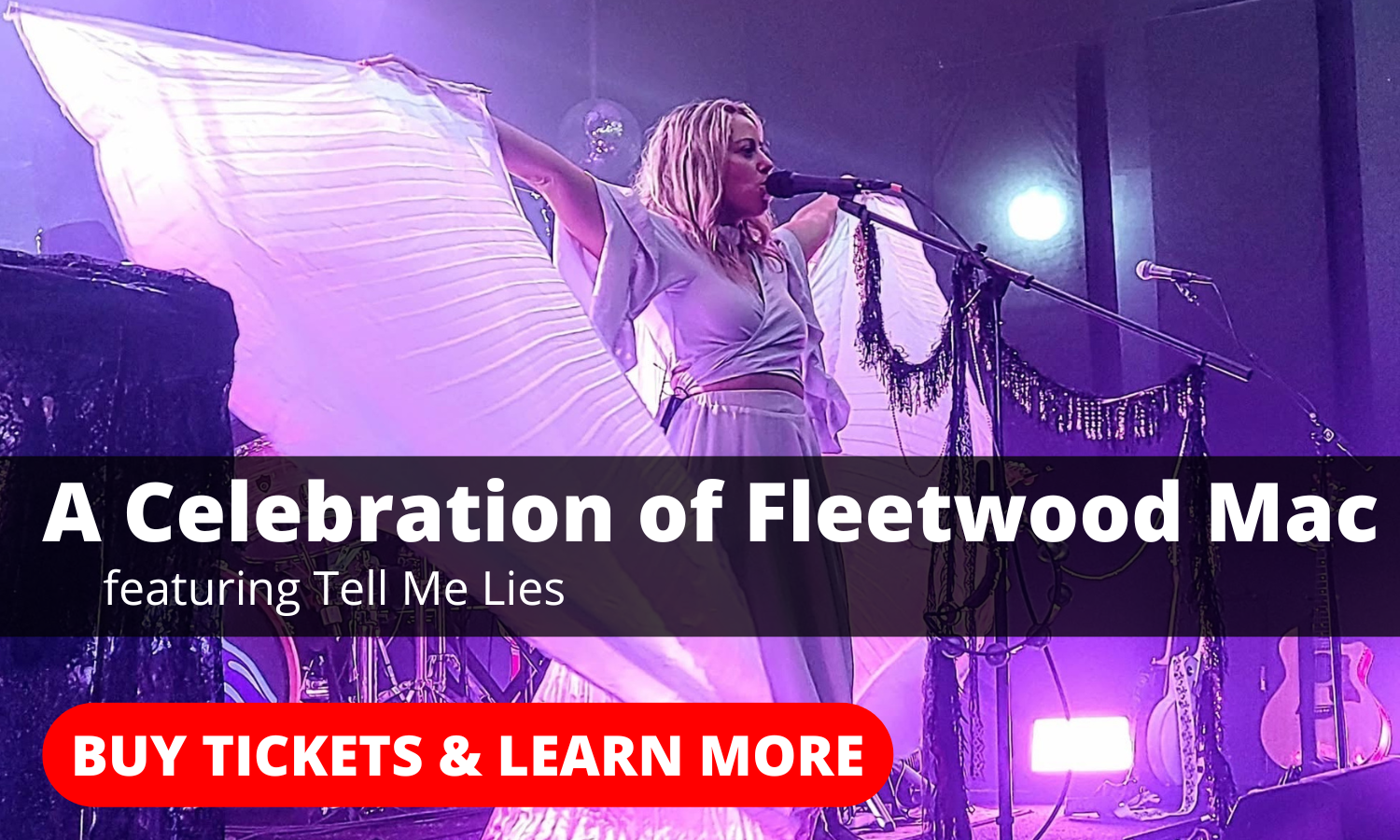 Fleetwood Tell Me Lies Buy Tickets & Learn More Band Website Icon
